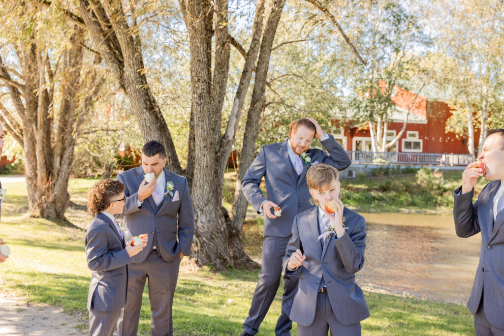 Candid moment of groomsmen eating apples at an apple orchard between photos