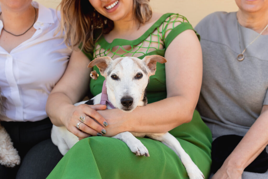 LGBTQIA+ couple elopes. Close-up portrait of the dog