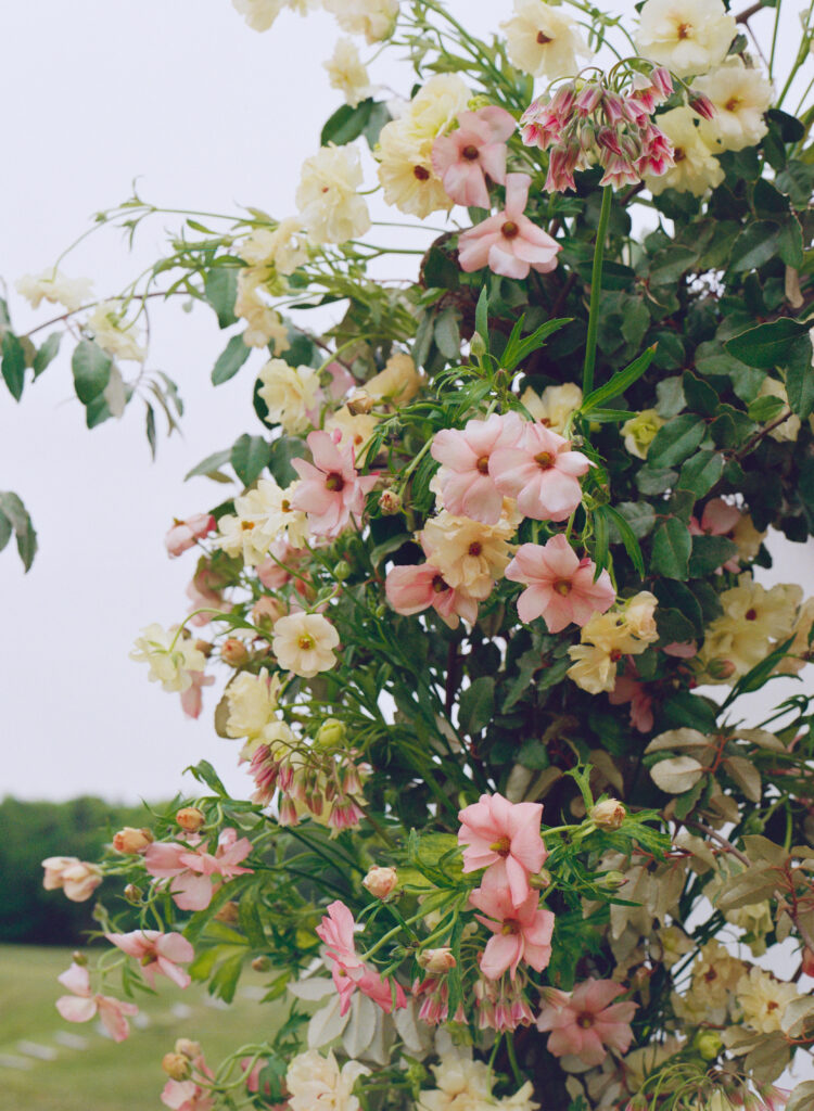 Close-up of pastel floral arch with pink and cream blooms at outdoor wedding ceremony.