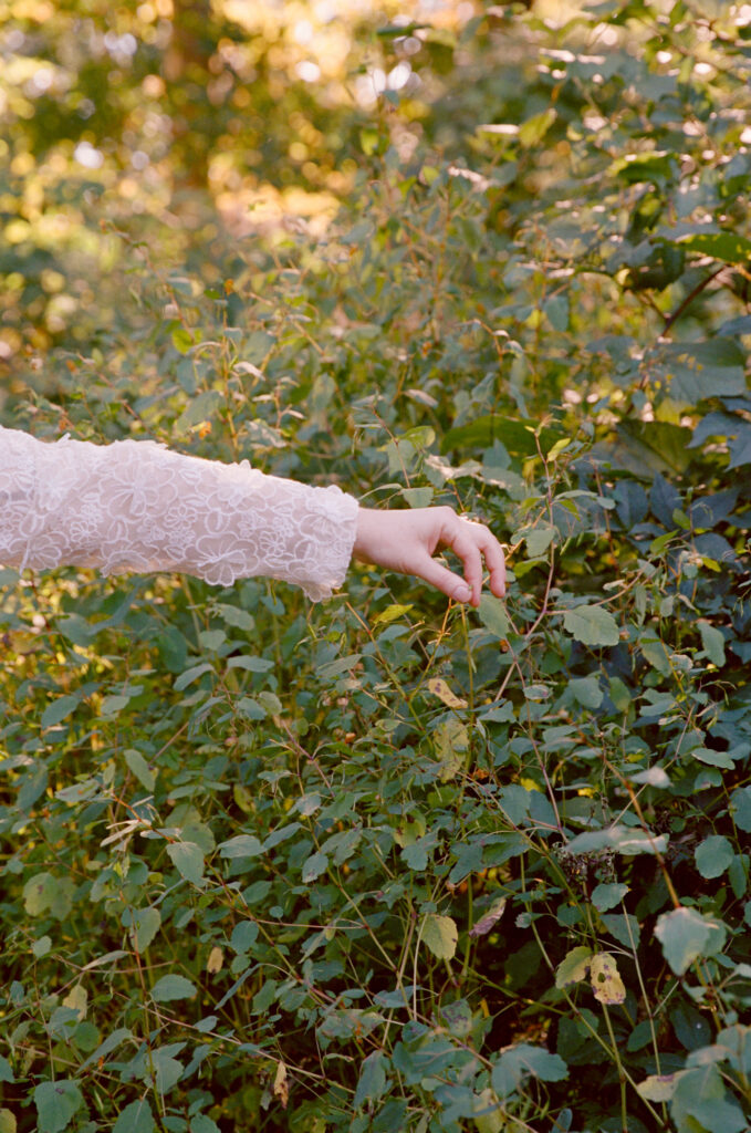 A hand reaches into a green and pinches a leaf, shot on color film. 