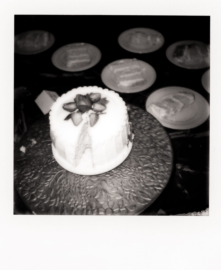 polaroid photo of wedding cake