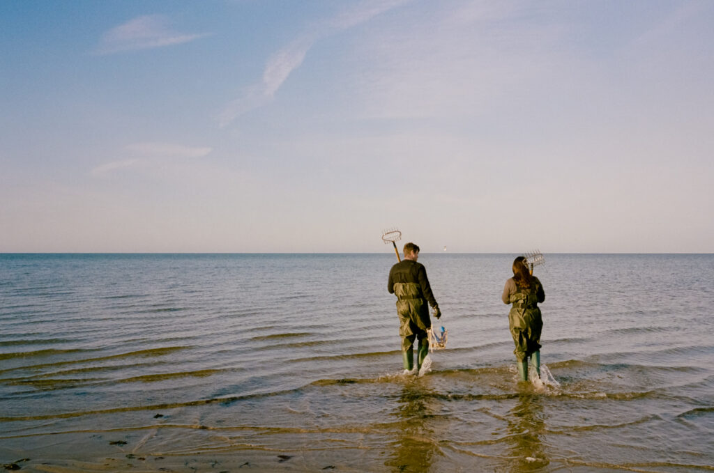 man and women walking into ocean to go clamming during a Cape Cod engagement photos
