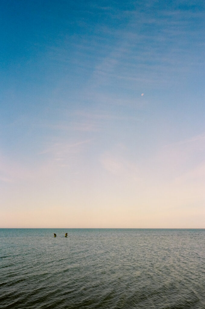 man and women in ocean clamming during a Cape Cod engagement photos